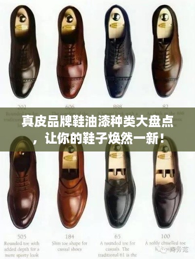真皮品牌鞋油漆种类大盘点，让你的鞋子焕然一新！