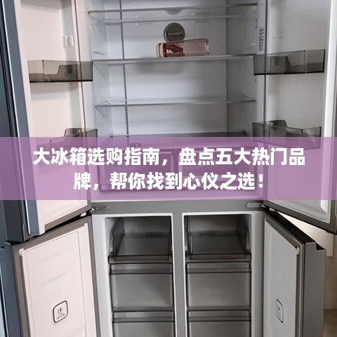 大冰箱选购指南，盘点五大热门品牌，帮你找到心仪之选！