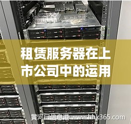 租赁服务器在上市公司中的运用与影响分析