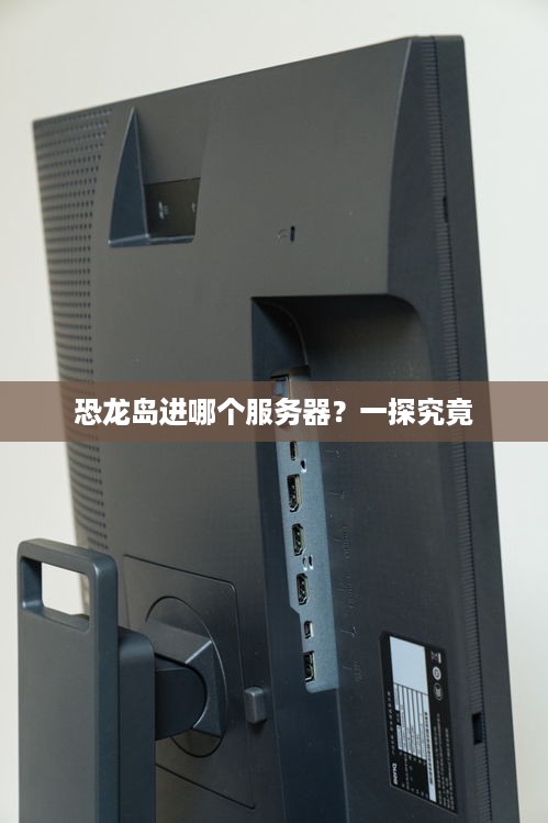 恐龙岛进哪个服务器？一探究竟