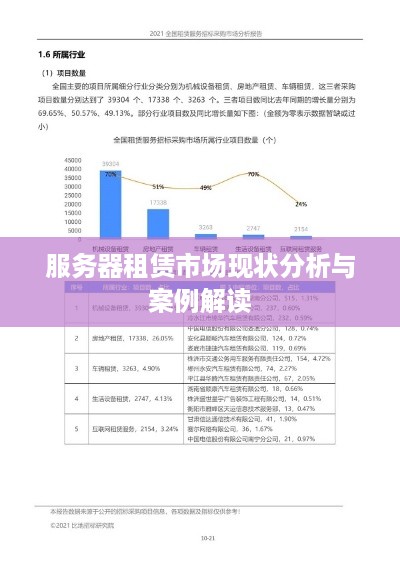 服务器租赁市场现状分析与案例解读