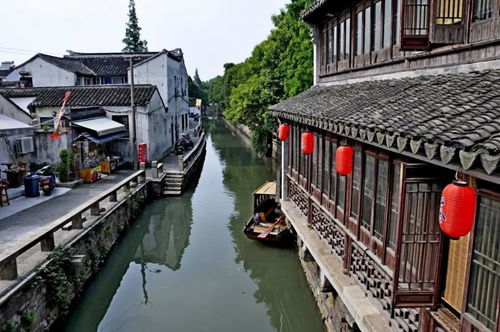 苏州虎丘蛋糕，探寻当地特色品牌店的甜蜜之旅