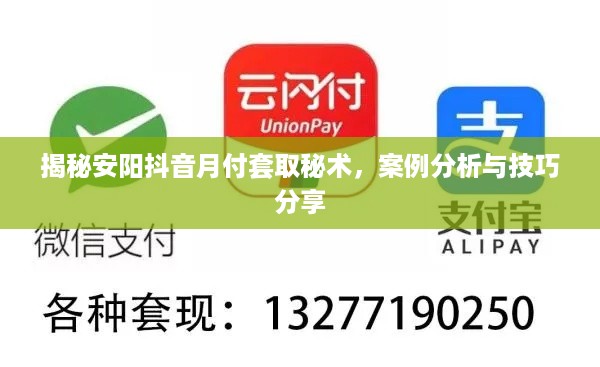 揭秘安阳抖音月付套取秘术，案例分析与技巧分享