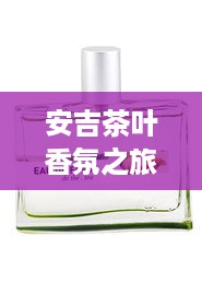 安吉茶叶香氛之旅，平价香水店的独特魅力