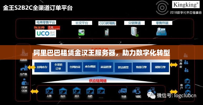 阿里巴巴租赁金汉王服务器，助力数字化转型