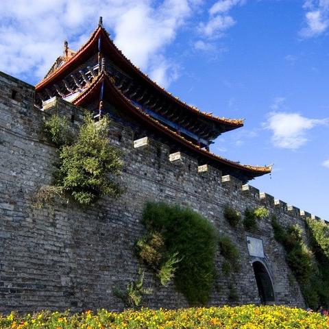 网络主播套取羊小咩便荔卡事件分析
网络主播套取羊小咩便荔卡案例揭秘