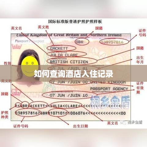 如何查询酒店入住记录