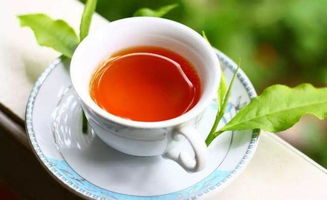 衡山茶叶品牌大盘点，品味千年古韵，尽享茶香四溢