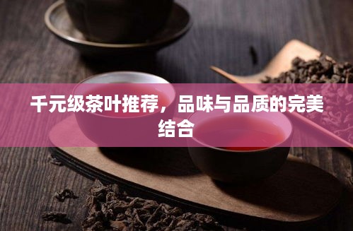 千元级茶叶推荐，品味与品质的完美结合