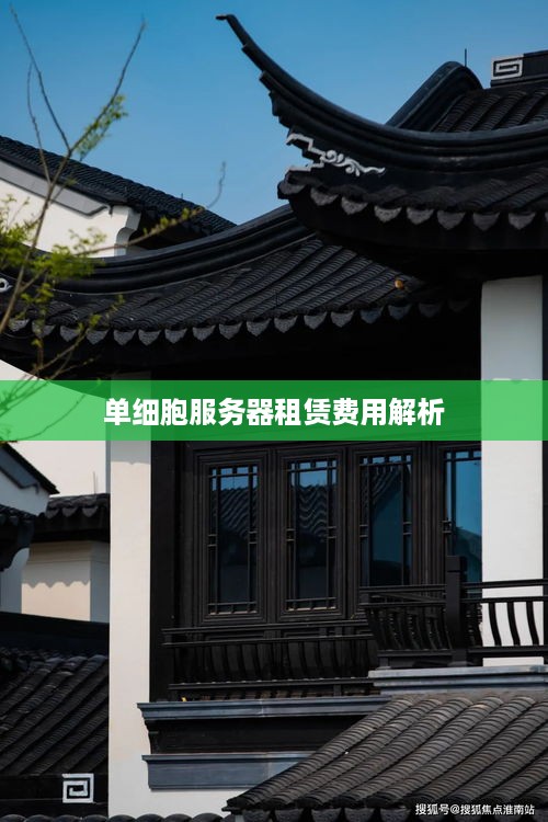 单细胞服务器租赁费用解析