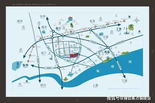 单细胞服务器租赁费用解析