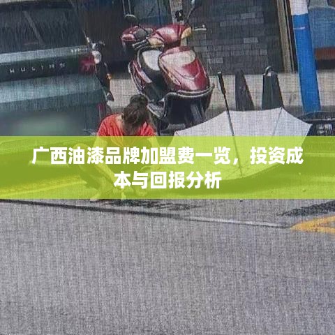 广西油漆品牌加盟费一览，投资成本与回报分析