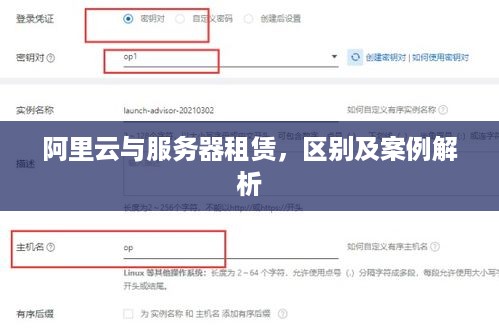 阿里云与服务器租赁，区别及案例解析