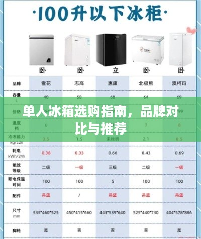 单人冰箱选购指南，品牌对比与推荐