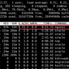 Linux Web服务器推荐与案例分析
