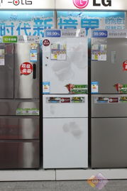 盘点国内外知名冰箱品牌及特点