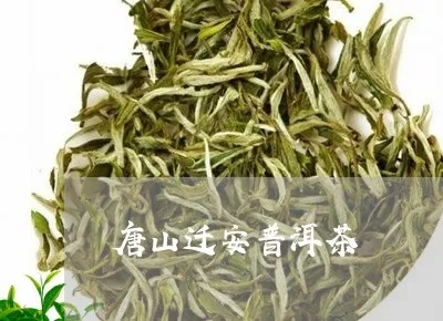 唐山茶叶品牌盘点，品味唐山，尽享茶香四溢