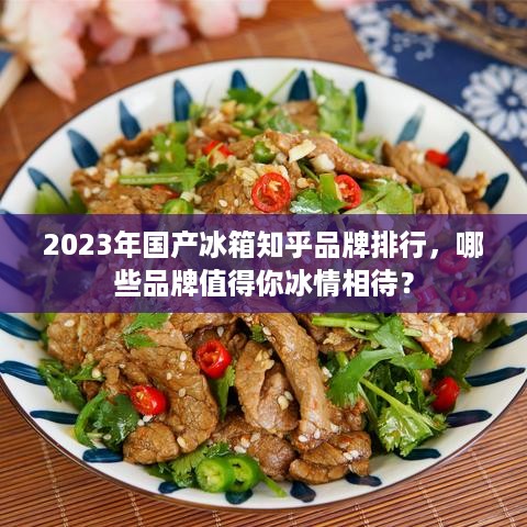 2023年国产冰箱知乎品牌排行，哪些品牌值得你冰情相待？