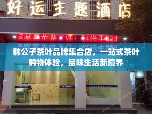 韩公子茶叶品牌集合店，一站式茶叶购物体验，品味生活新境界