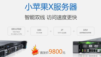 国外服务器租赁指南，如何选择与租用？