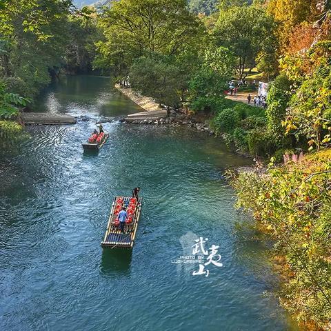 南平茶叶品牌店大盘点，品味武夷山茶香，尽在南平