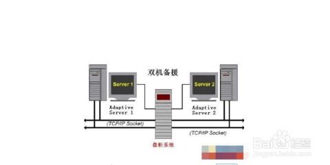 关于选择适合开网站的服务器，这里有五大推荐与案例分析