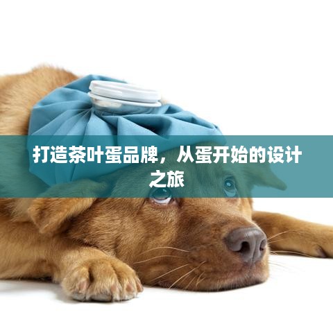 打造茶叶蛋品牌，从蛋开始的设计之旅