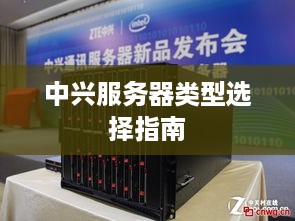中兴服务器类型选择指南
