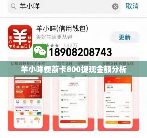 羊小咩便荔卡800提现金额分析
