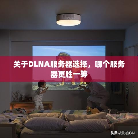 关于DLNA服务器选择，哪个服务器更胜一筹