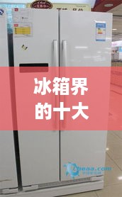 冰箱界的十大豪强，揭秘冰箱工具品牌排名榜