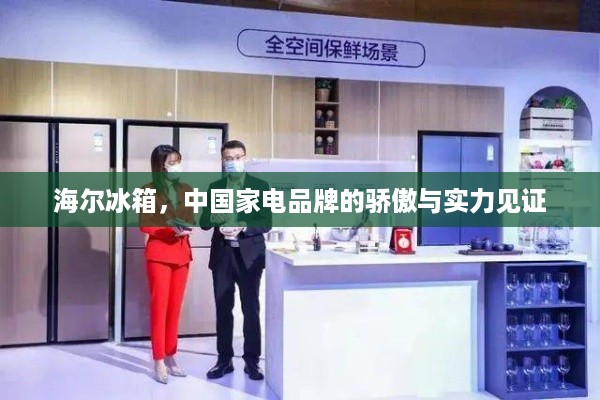 海尔冰箱，中国家电品牌的骄傲与实力见证
