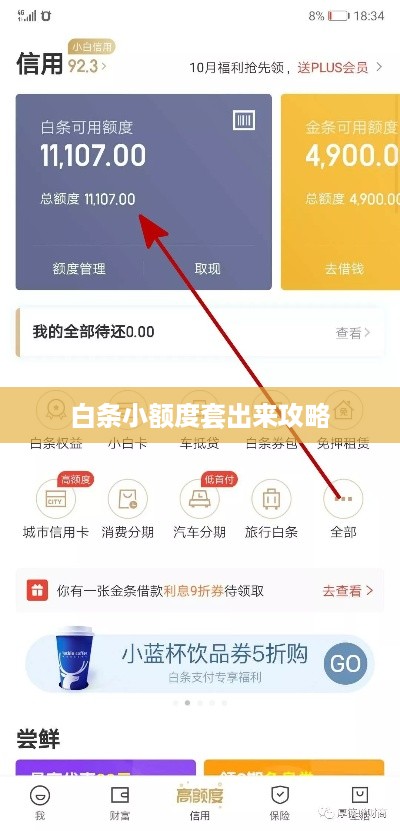 白条小额度套出来攻略