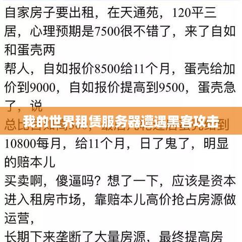 我的世界租赁服务器遭遇黑客攻击