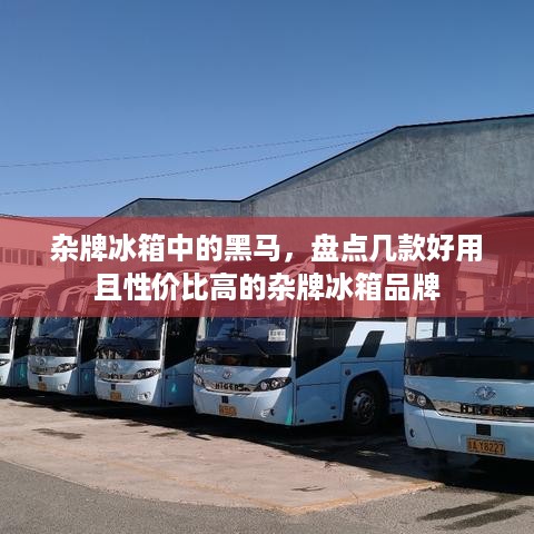 杂牌冰箱中的黑马，盘点几款好用且性价比高的杂牌冰箱品牌
