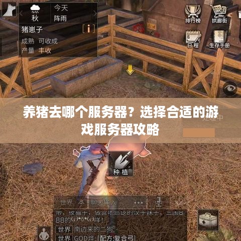 养猪去哪个服务器？选择合适的游戏服务器攻略