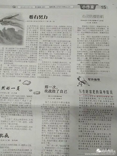 羊小咩便荔卡免息套体验报告