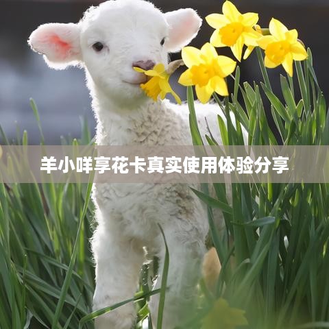 羊小咩享花卡真实使用体验分享