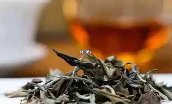 威信白茶，探寻云南白茶的独特魅力