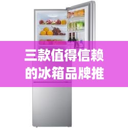 三款值得信赖的冰箱品牌推荐，让你的家冷得更有品质！