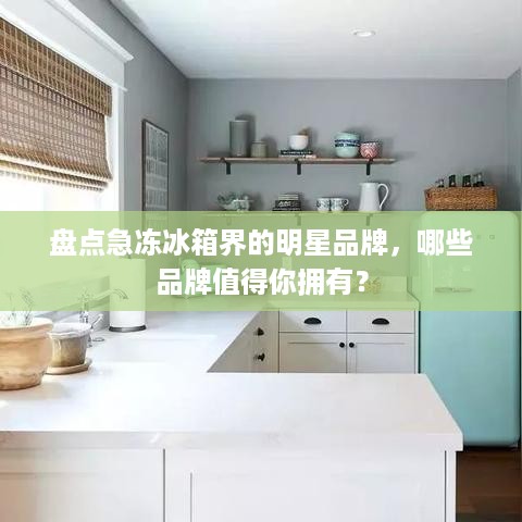 盘点急冻冰箱界的明星品牌，哪些品牌值得你拥有？