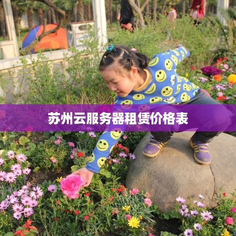 苏州云服务器租赁价格表