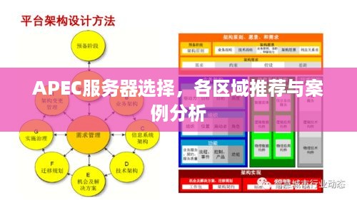 APEC服务器选择，各区域推荐与案例分析