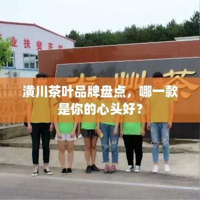 潢川茶叶品牌盘点，哪一款是你的心头好？
