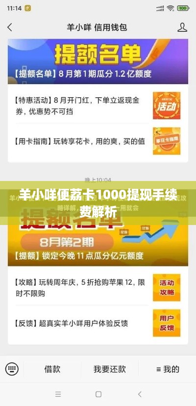 羊小咩便荔卡1000提现手续费解析