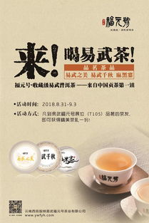 姓氏茶叶品牌，传承与创新，打造独特茶香传奇