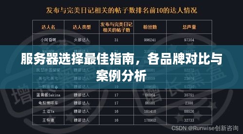 服务器选择最佳指南，各品牌对比与案例分析