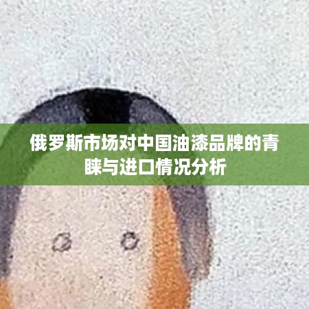 俄罗斯市场对中国油漆品牌的青睐与进口情况分析