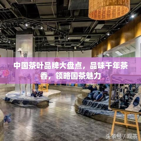 中国茶叶品牌大盘点，品味千年茶香，领略国茶魅力