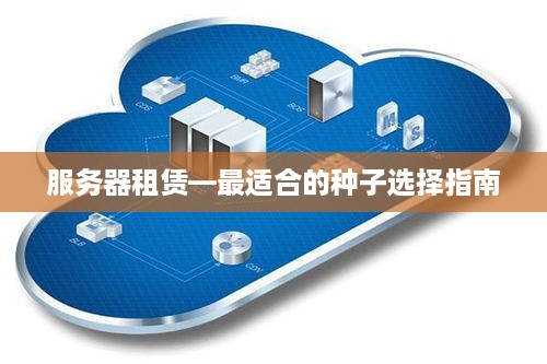 服务器租赁—最适合的种子选择指南
